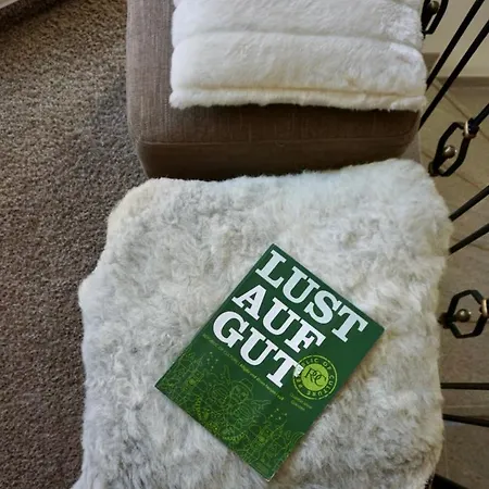 Engelberg 24h Check In מלון 3*