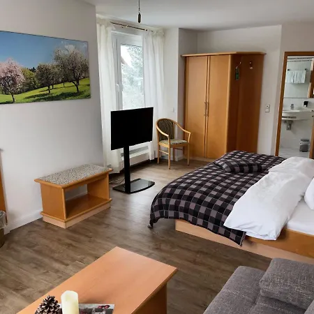 Hotel Engelberg 24h Check In 3*